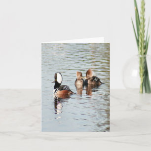 Tarjeta de nota doblada de foto del pato del Merga