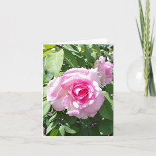 Tarjeta de nota doblada de foto rosa rosa