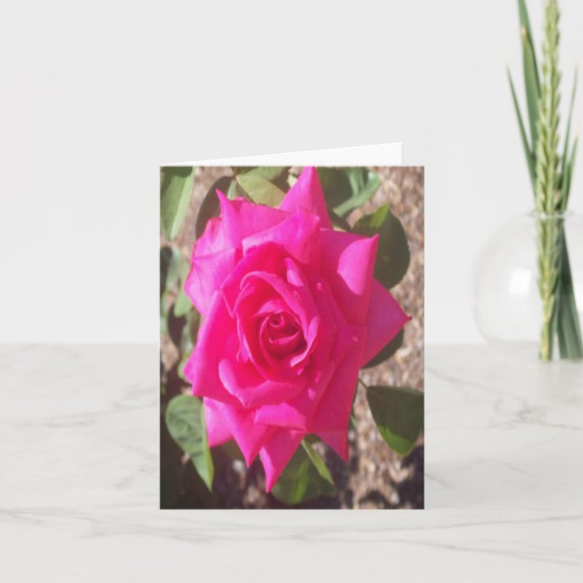 Tarjeta de nota doblada de foto rosa rosa (Anverso)