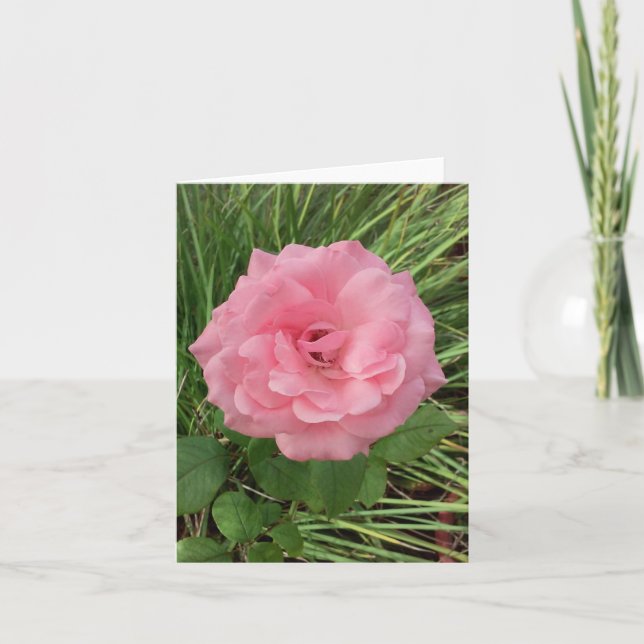 Tarjeta de nota doblada de foto rosa rosa (Anverso)