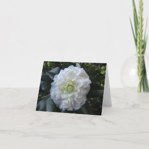 Tarjeta de nota doblada de fotos de Camelia blanca
