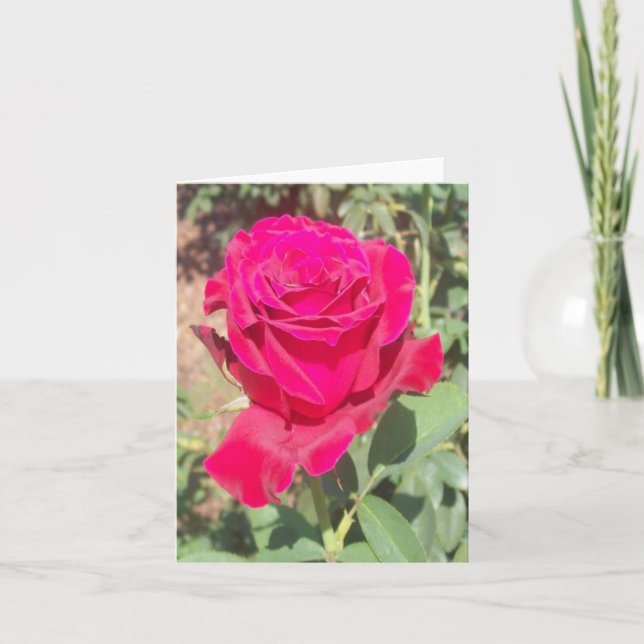 Tarjeta de nota doblada de fotos de rosa roja (Anverso)