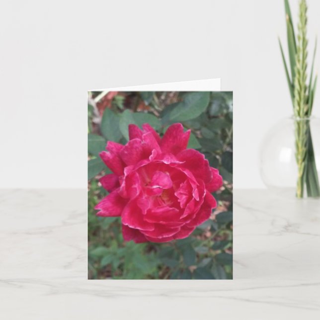 Tarjeta de nota doblada de fotos de rosa roja (Anverso)