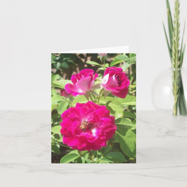 Tarjeta de nota doblada de fotos de rosas rojas (Anverso)