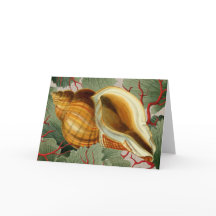 Tarjeta de nota doblada de la concha costera de ép