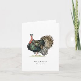 Tarjeta de nota doblada de pavo silvestre