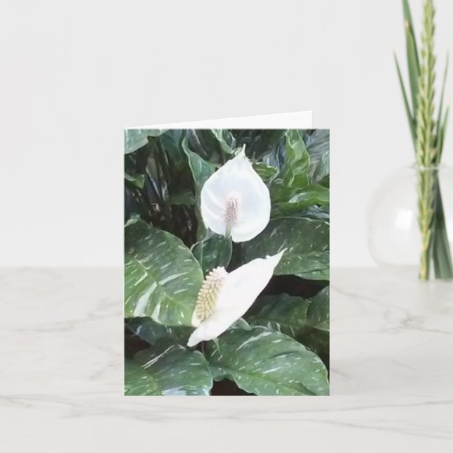 Tarjeta de nota doblada de Peace Lily Photo (Anverso)