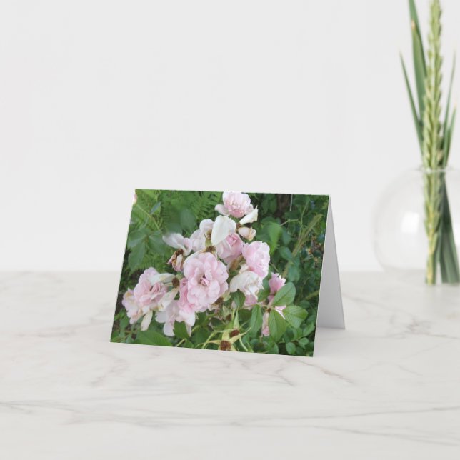 Tarjeta de nota doblada de rosas rosadas (Anverso)