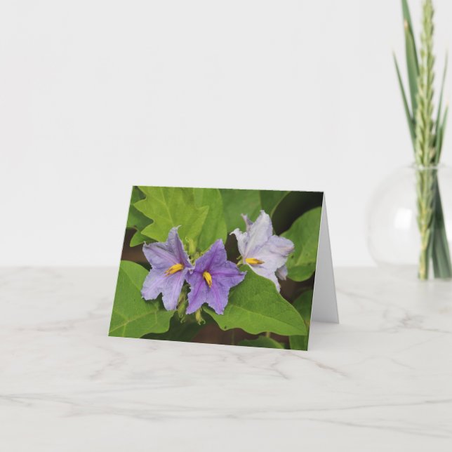 Tarjeta de nota doblada en blanco para la flor de  (Anverso)