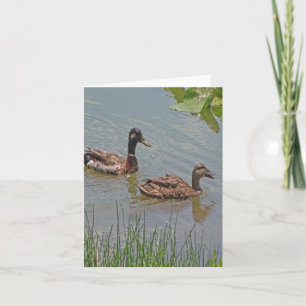 Tarjeta de nota doblada para fotos de pavos Mallar