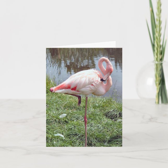 Tarjeta de nota doblada rosa Flamingo Photo (Anverso)