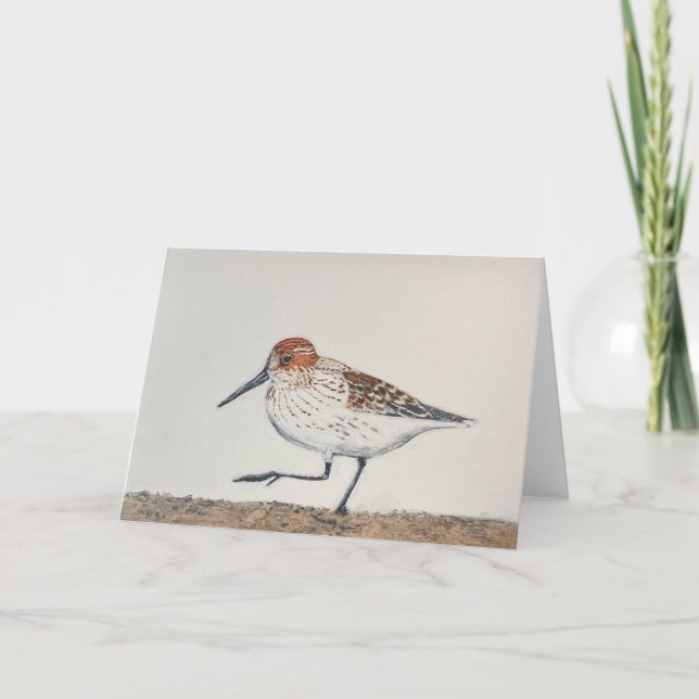 Tarjeta de nota doblada Sandpiper (Anverso)