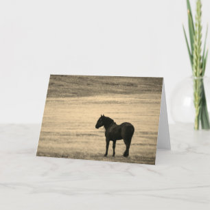 Tarjeta de nota doblada Stallion negro ONAQUI HERD