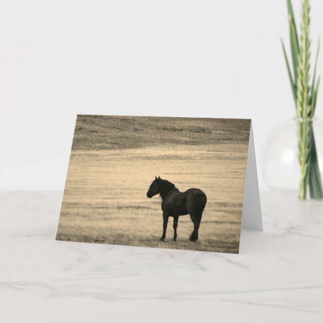 Tarjeta de nota doblada Stallion negro ONAQUI HERD (Anverso)