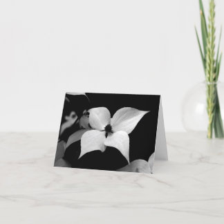 Tarjeta de nota - Dogwood de B/W