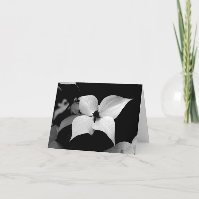 Tarjeta de nota - Dogwood de B/W (Anverso)