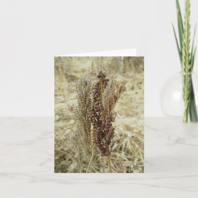 Tarjeta de nota Dry Fern (Anverso)