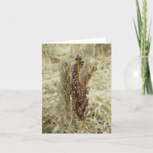 Tarjeta de nota Dry Fern