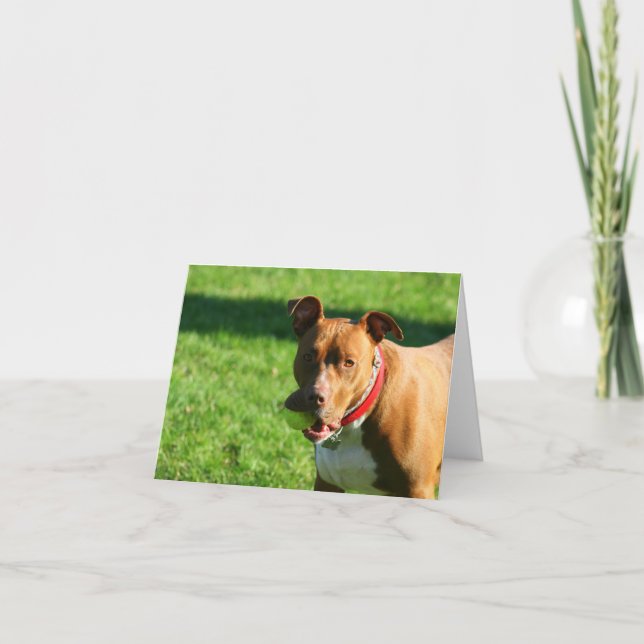 Tarjeta de nota Dudley 2 (Anverso)