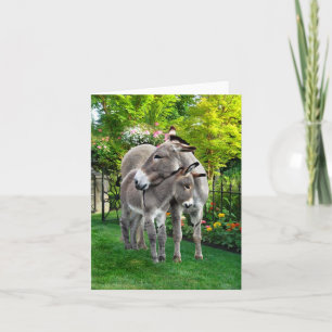 Tarjeta de nota "Easter & Baby Eno"
