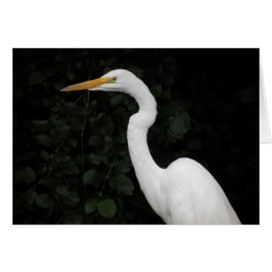 Tarjeta de nota Egret