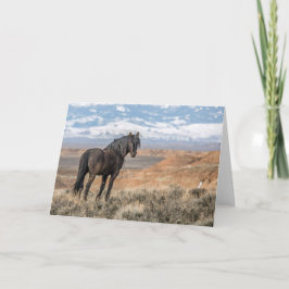 Tarjeta de nota "El Stallion Negro"