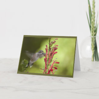 Tarjeta de nota en blanco