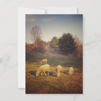 Tarjeta de nota en blanco