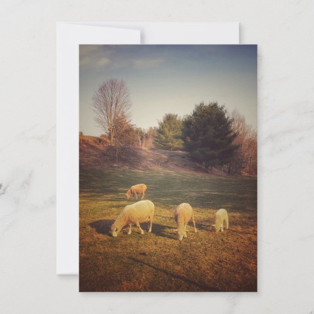 Tarjeta de nota en blanco (Anverso)