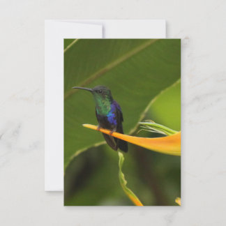 Tarjeta de nota en blanco