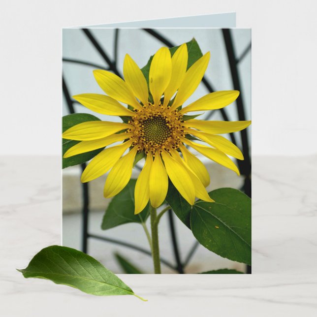 Tarjeta de nota en blanco amarilla de girasol botá (Subido por el creador)