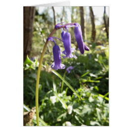 Tarjeta de nota en blanco Bluebells