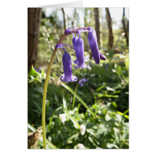 Tarjeta de nota en blanco Bluebells