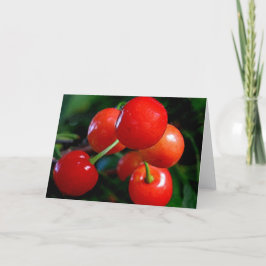 Tarjeta de nota en blanco: cerezas