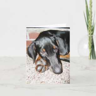 Tarjeta de nota en blanco con cachorro de Doberman