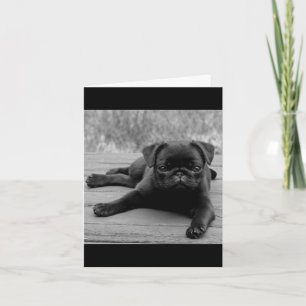 Tarjeta de nota en blanco con cachorro de pug negr
