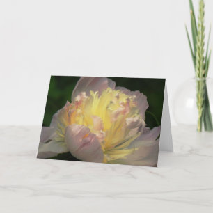 Tarjeta de nota en blanco con el flor del Peony
