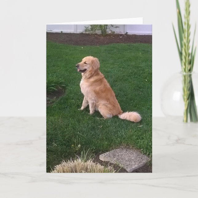 Tarjeta de nota en blanco con Jake Golden Retrieve (Anverso)