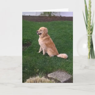 Tarjeta de nota en blanco con Jake Golden Retrieve