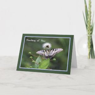 Tarjeta de nota en blanco con mariposa