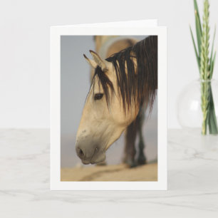 Tarjeta de nota en blanco con un caballo salvaje