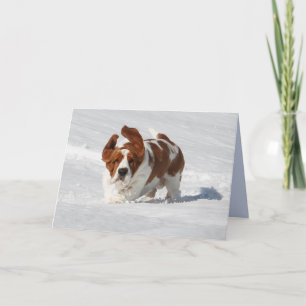 Tarjeta de nota en blanco con un hermoso enlace ba