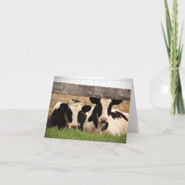 Tarjeta de nota en blanco con vacas (Anverso)