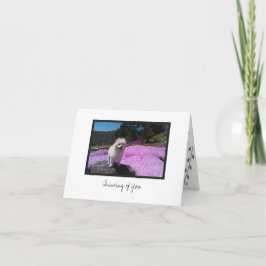 Tarjeta de nota en blanco Cosmo #4