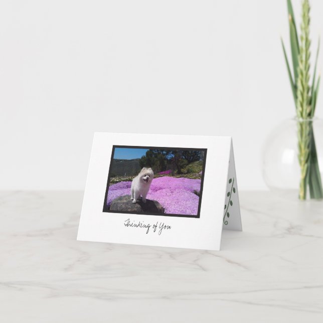 Tarjeta de nota en blanco Cosmo #4 (Anverso)