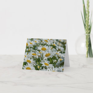 Tarjeta de nota en blanco - Daises en Vermont
