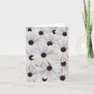 Tarjeta de nota en blanco Daisies en blanco bonito