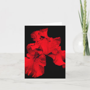 Tarjeta de nota en blanco de Art Blank de Flor Iri