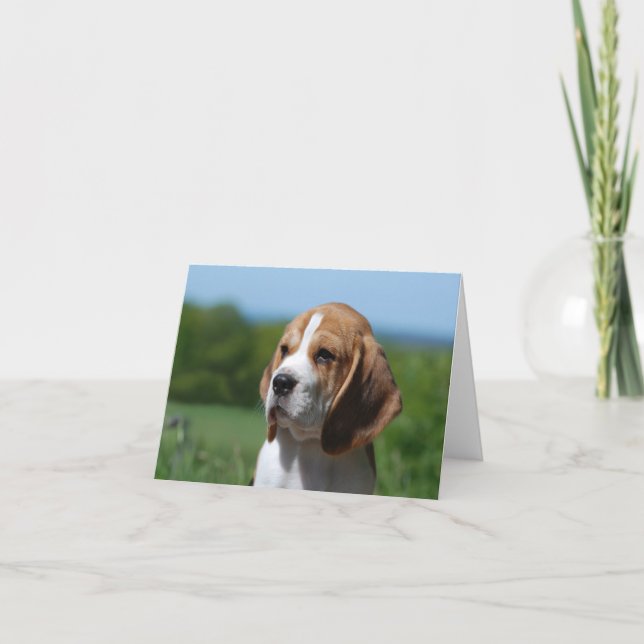 Tarjeta de nota en blanco de cachorro de Beagle (Anverso)