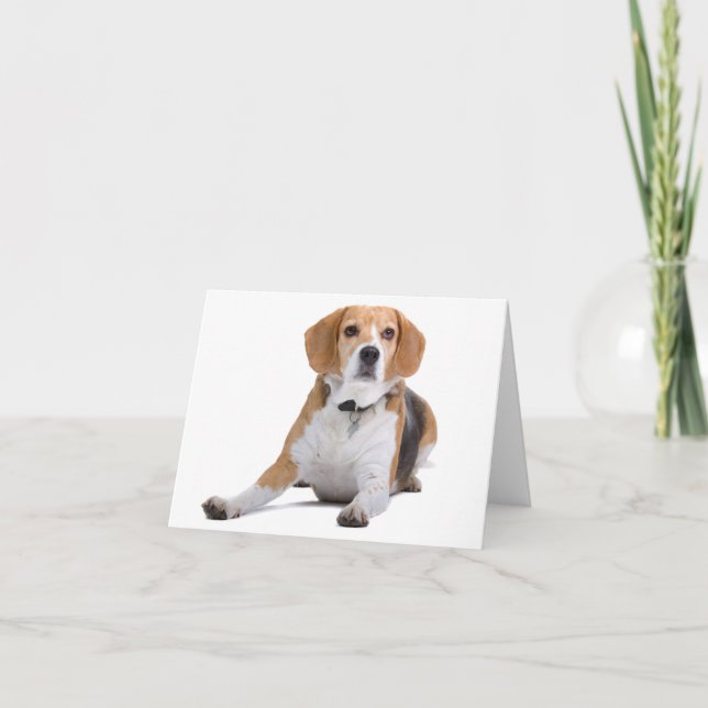 Tarjeta de nota en blanco de cachorro de Beagle (Anverso)